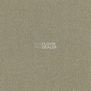 Ковролин Brintons Majestic Willow m 324 фото 1 | FLOORDEALER